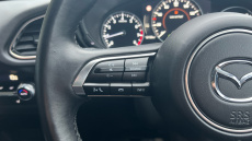 Mazda CX-30 2.5 e-Skyactiv G MHEV [140] Exclusive-Line 5dr Petrol Hatchback